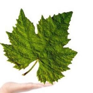 Meet your Posher, Terry